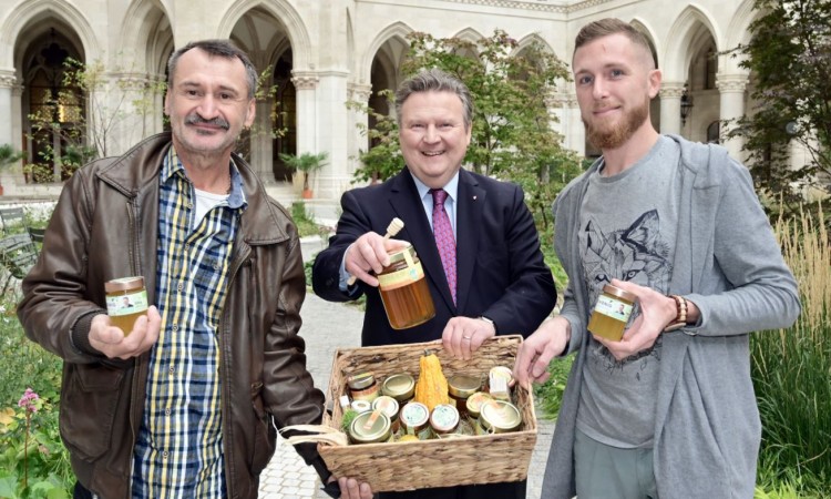 Pčele na krovu bečke Vijećnice daju 180 kilograma meda godišnje