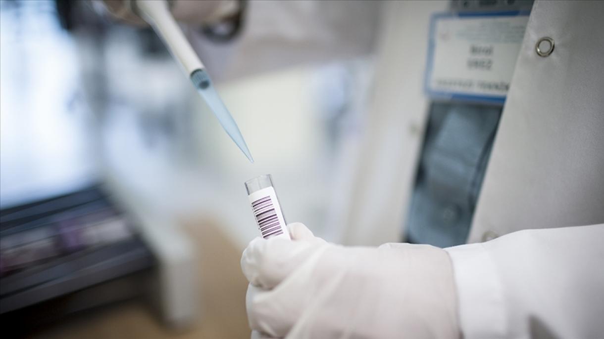 U Sloveniji sumnja na prvi slučaj majmunskih boginja