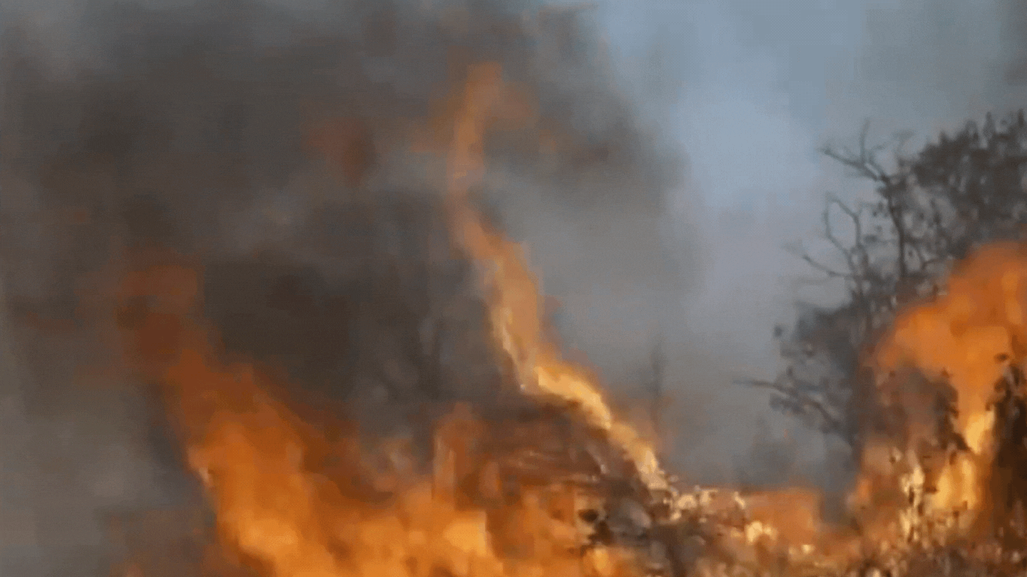 Podmetnuti požari uništavaju zaštićena ekološka područja u Boliviji