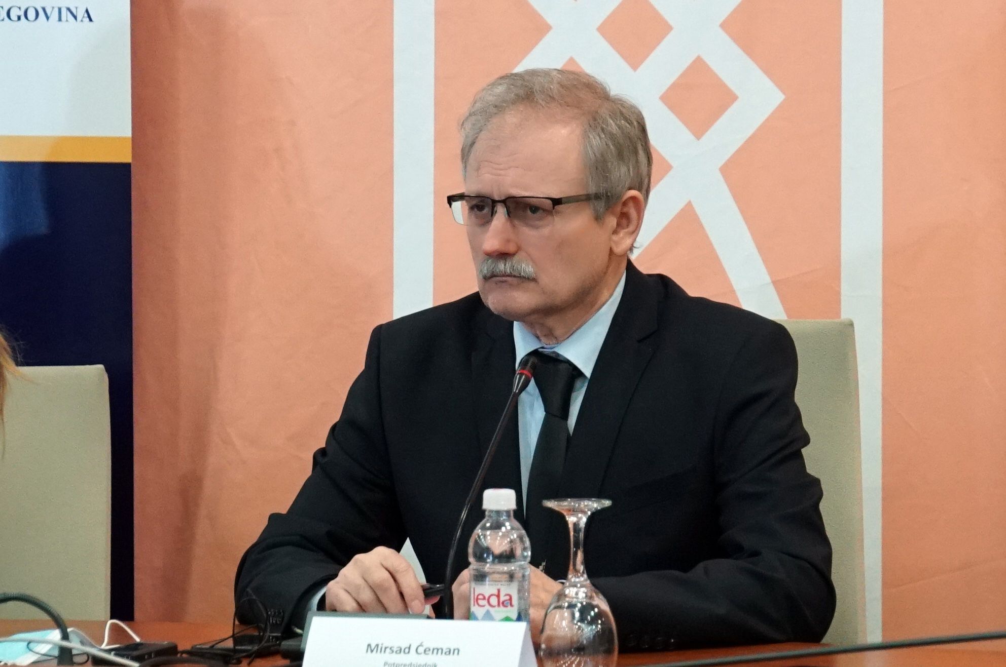 Ćeman: Pitanje vlasništva nad šumama treba urediti država svojim zakonom