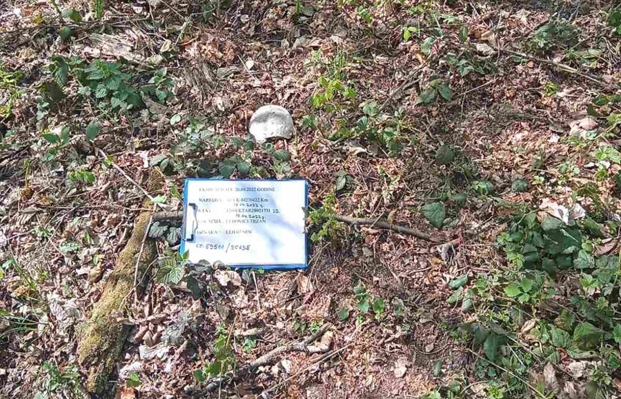 Asanacija u Srebrenici: Pronađeni nekompletni posmrtni ostaci jedne žrtve
