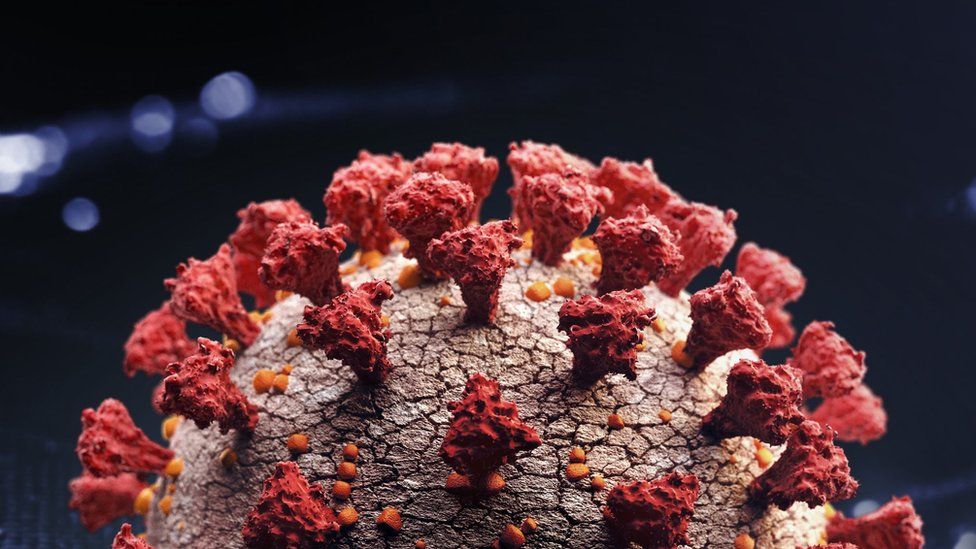 Novi soj potvrđen i u Belgiji, EK traži obustavu putovanja