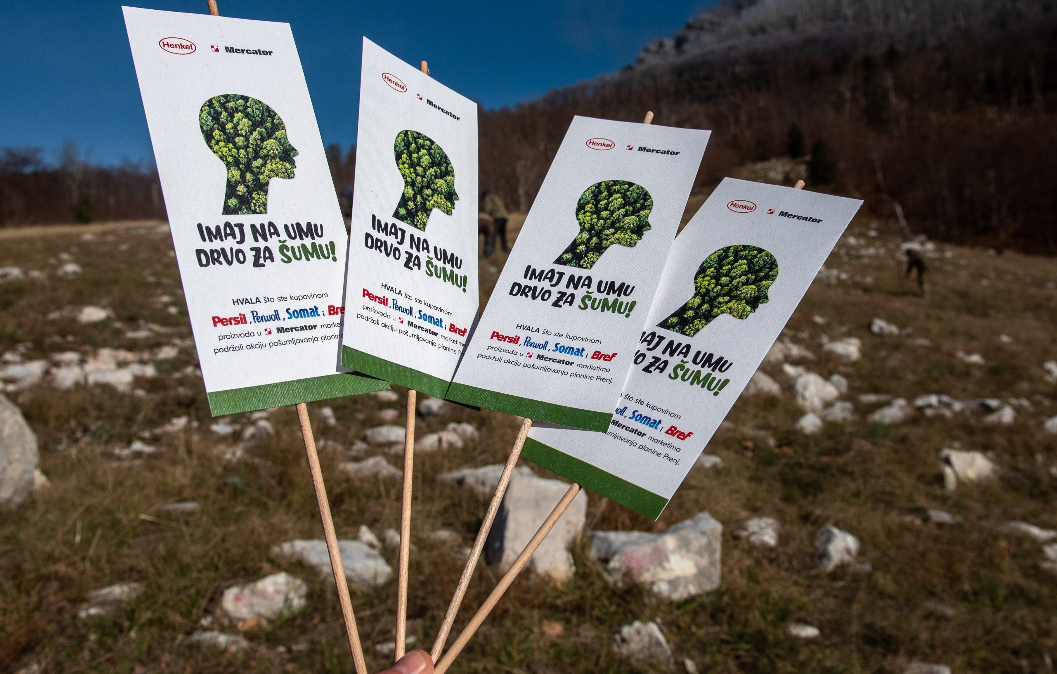 Henkel i partneri zasadili 3.300 sadnica crnog bora na požarom uništenim padinama planine Prenj