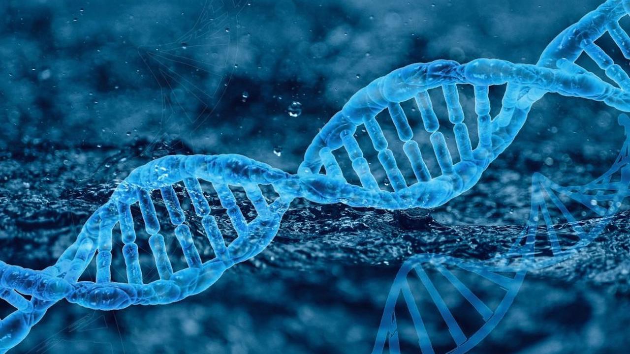Naučnici otkrili misteriozni DNK koji sadrži gene drugih organizama