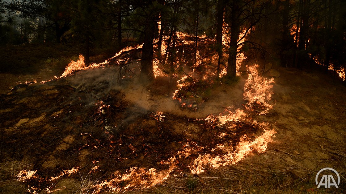 Više od 13.500 vatrogasaca bori se s požarom u Kaliforniji