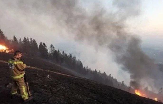 Velik šumski požar u Sloveniji kod Preddvora, gore i vikendice