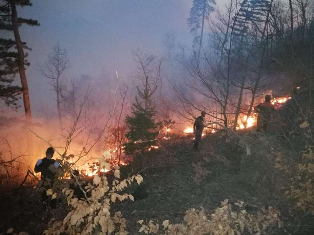 Šumari i vatrogasci nadaju se da će kiša pomoći u gašenju požara na Liscu