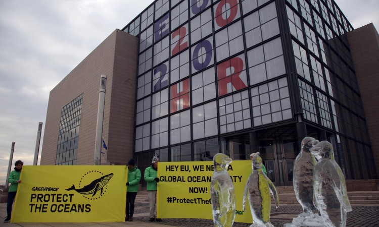 Greenpeace, pionir u javnim protestima, obilježava 50 godina postojanja