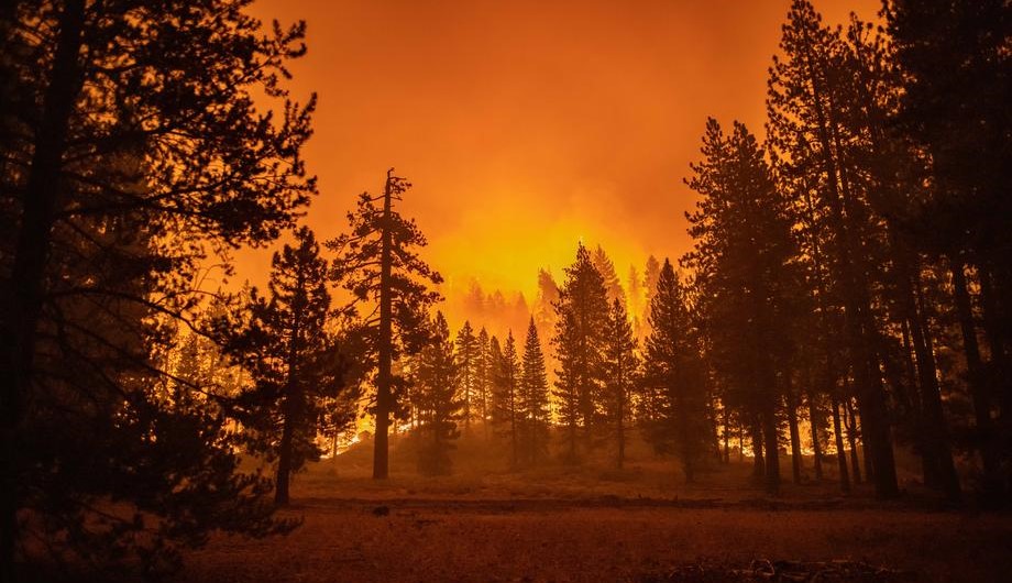 Požar u Kaliforniji približava se jezeru Tahoe, poslije masovnih evakuacija