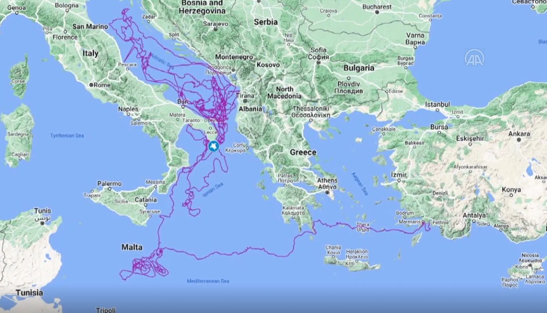 Satelitski praćena kornjača Tuba za tri godine proputovala 17.500 kilometara, a bila je i u Neumu