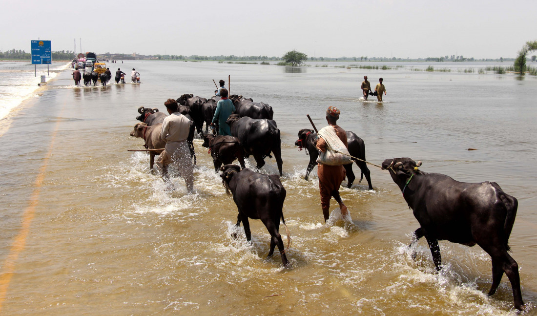 Nakon poplava u Pakistanu se šire vodom prenosive bolesti
