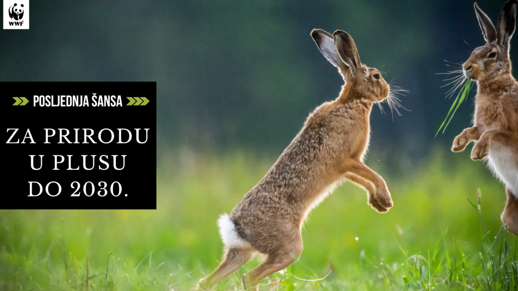 WWF: Budućnost prirode pod ozbiljnim je upitnikom, ali prilika još uvijek postoji