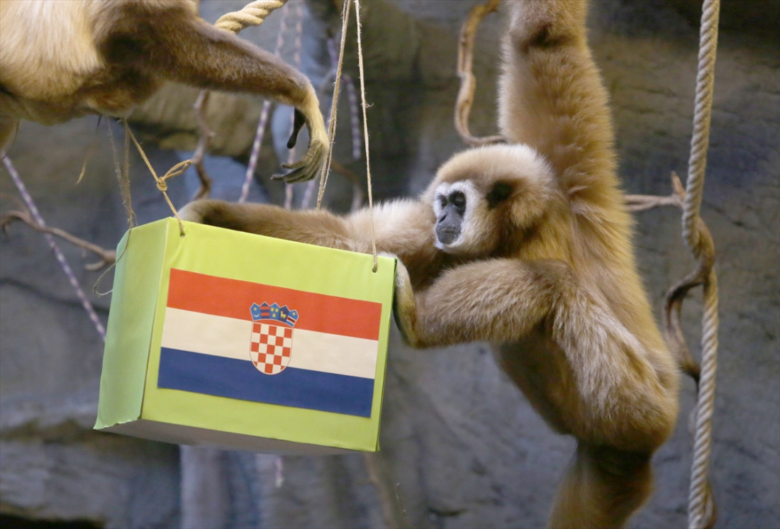 Gibon Kent uvjeren u nastup Hrvatske u finalu Svjetskog prvenstva