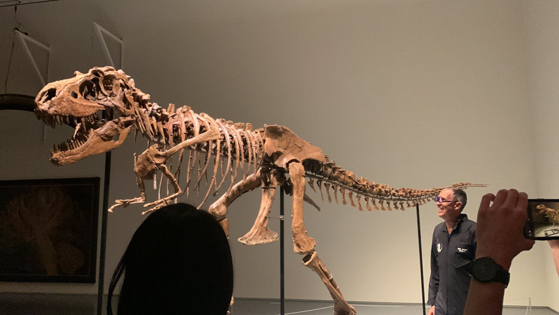 Kostur dinosaursa prvi put na aukciji