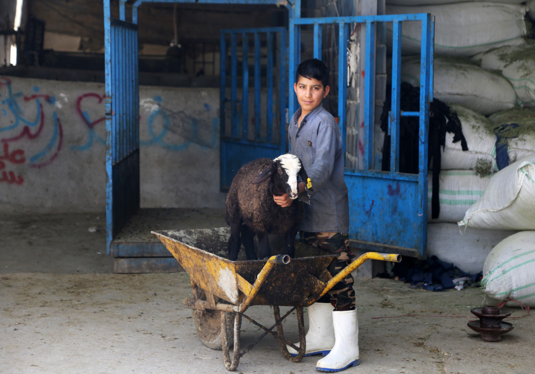 Cijene kurbana u Iranu udvostručene, smanjen broj kupaca