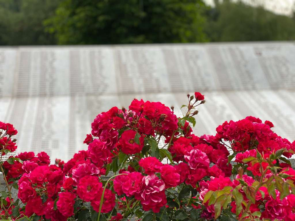 Srebrenica 27 godina poslije – Činjenice o genocidu su neoborive