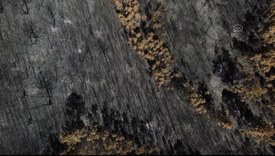 Požar u portuglaskoj Murci ostavio pustoš