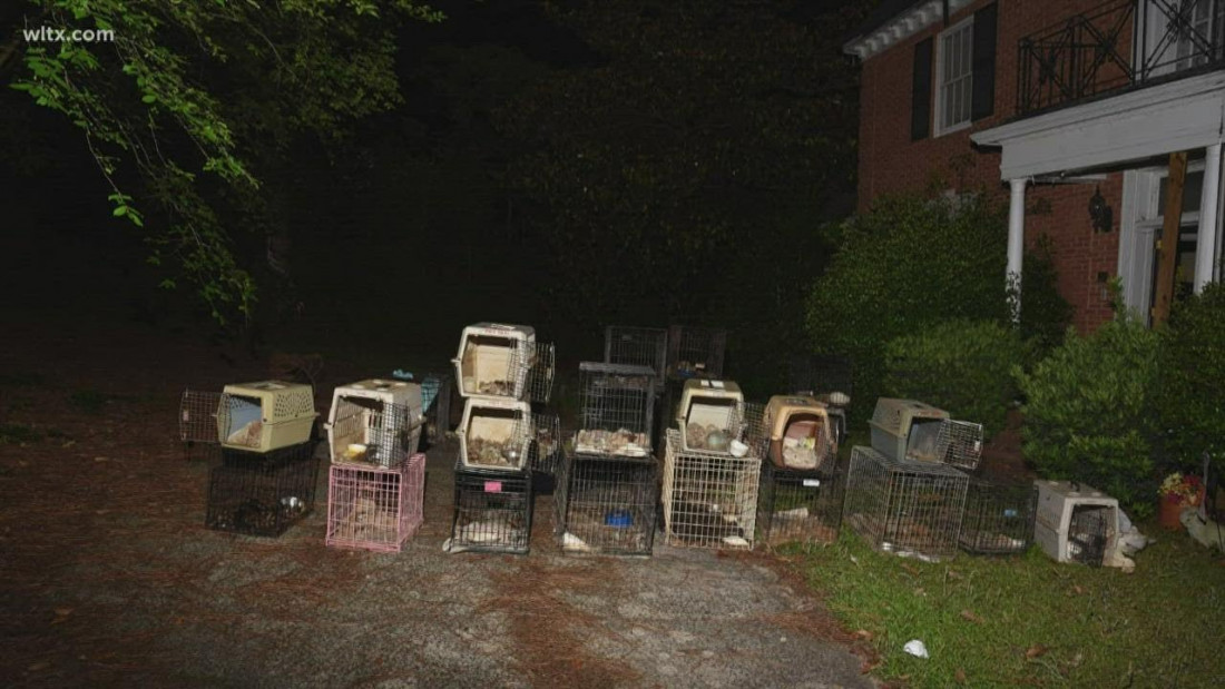 U domu direktorice organizacije za zaštitu životinja pronađeno 30 uginulih pasa i mačaka