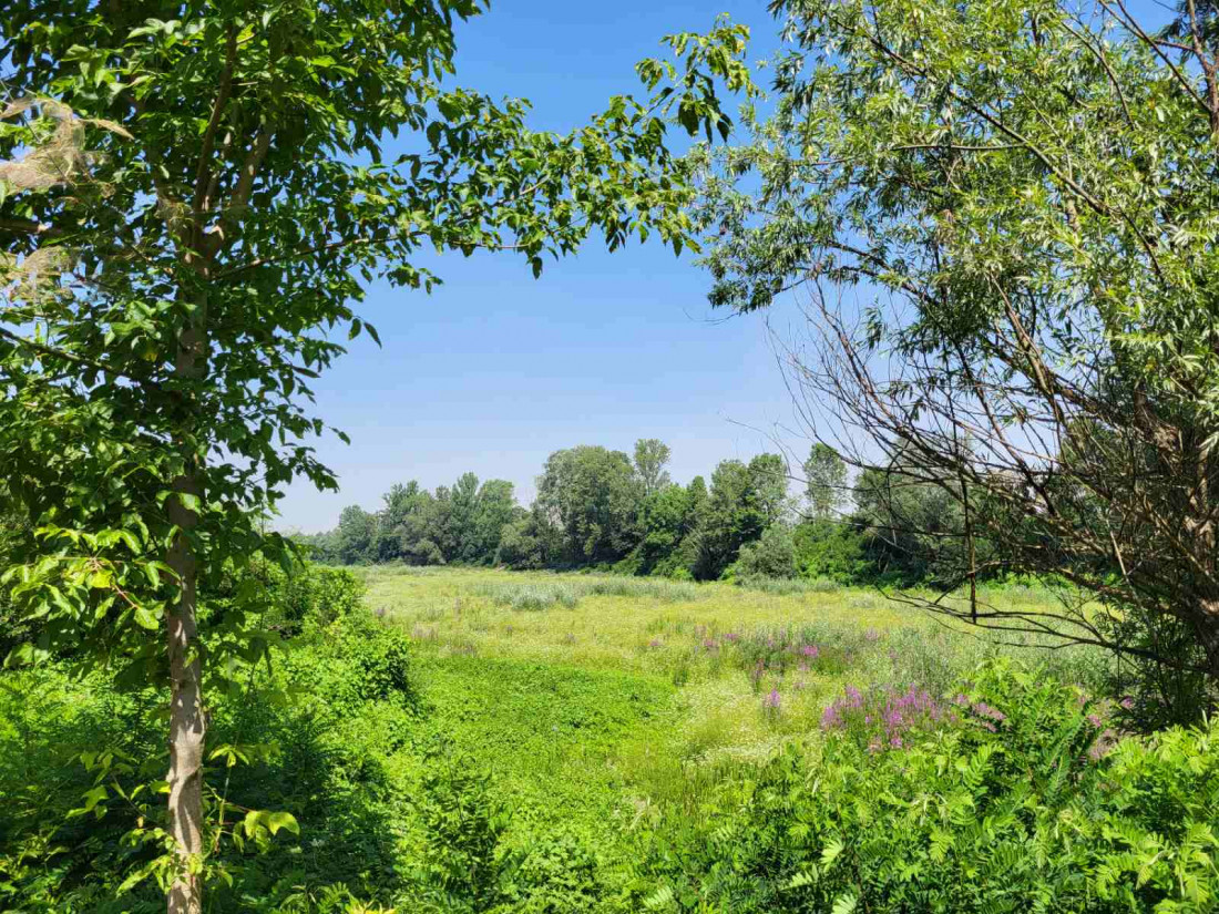 Starača je poznata kao posavski i bosanski 'Kopački rit'