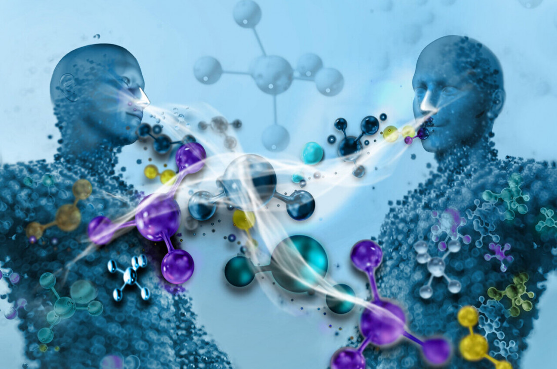 Ljudi se "njuše" i tako otkrivaju (ne)prijatelje