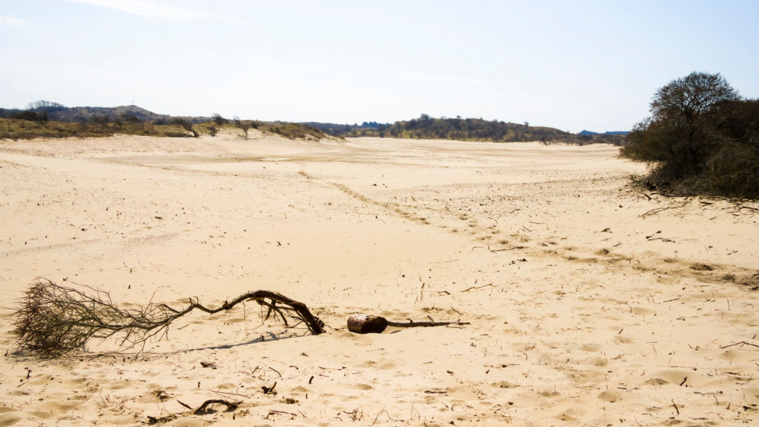 U sušom pogođenoj Keniji uginulo više od 200 slonova, stotine zebri i gnuova