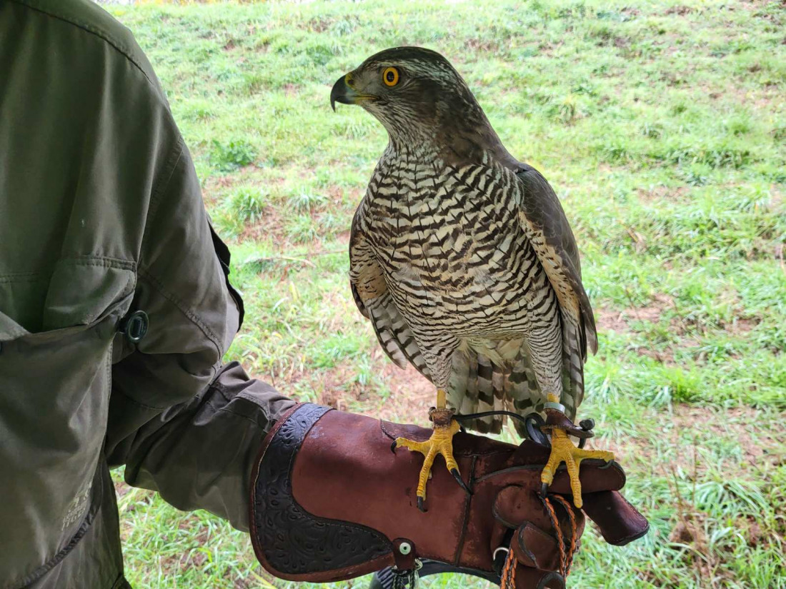 Bosanska Posavina - raj za lov