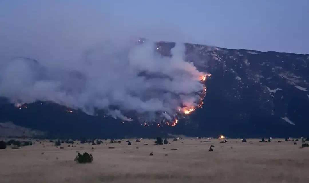 Šteta od šumskog požara na Blidinju procijenjena na više od milion KM