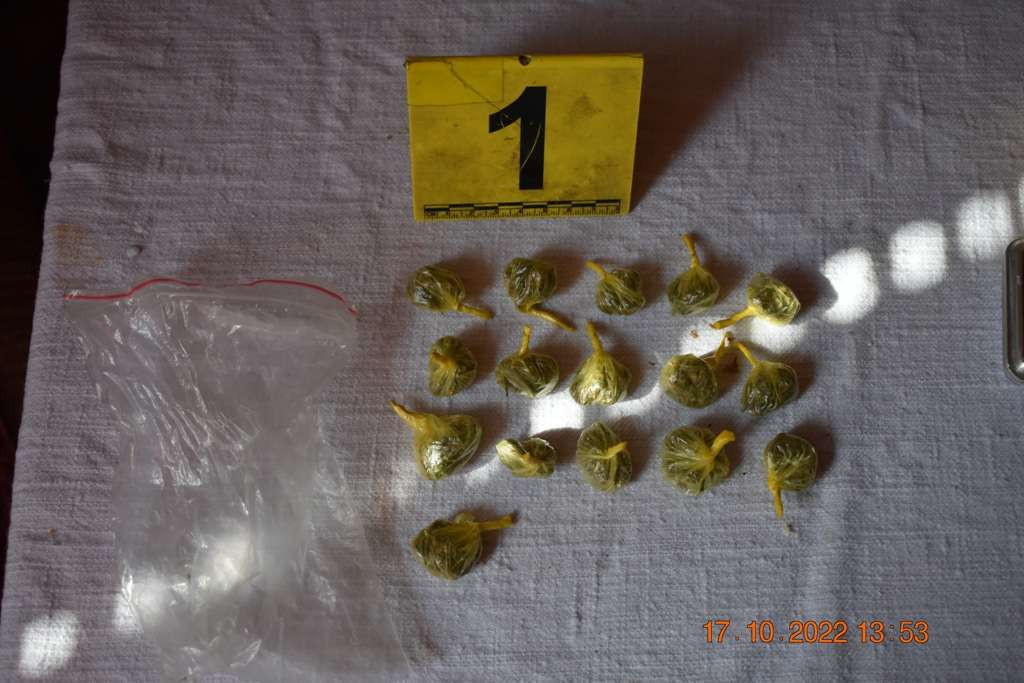 Izvršenim pretresom u Zenici pronađena opojna droga