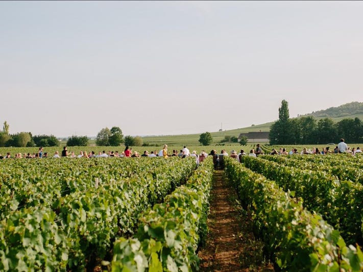 Francuski farmeri upozoravaju na mogućnost kolapsa u snabdijevanju hranom zbog energetske krize