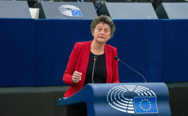 Europarlamentarka Strik: Schmidt mijenja Izborni zakon BiH u korist HDZ-a