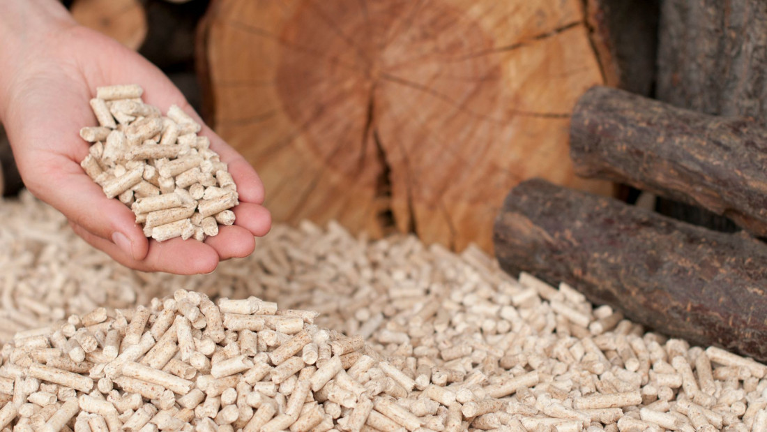 Savjet ministara BiH: Produžena zabrana izvoza oblovine i peleta