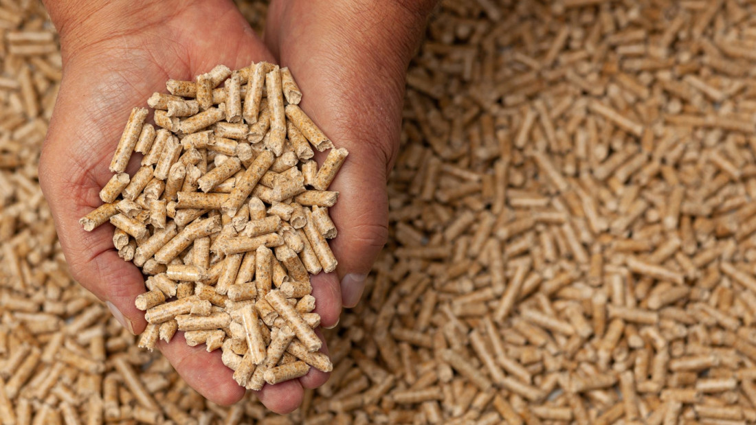 Vlada FBiH traži da se produži zabrana izvoza ogrjevnog drveta i peleta