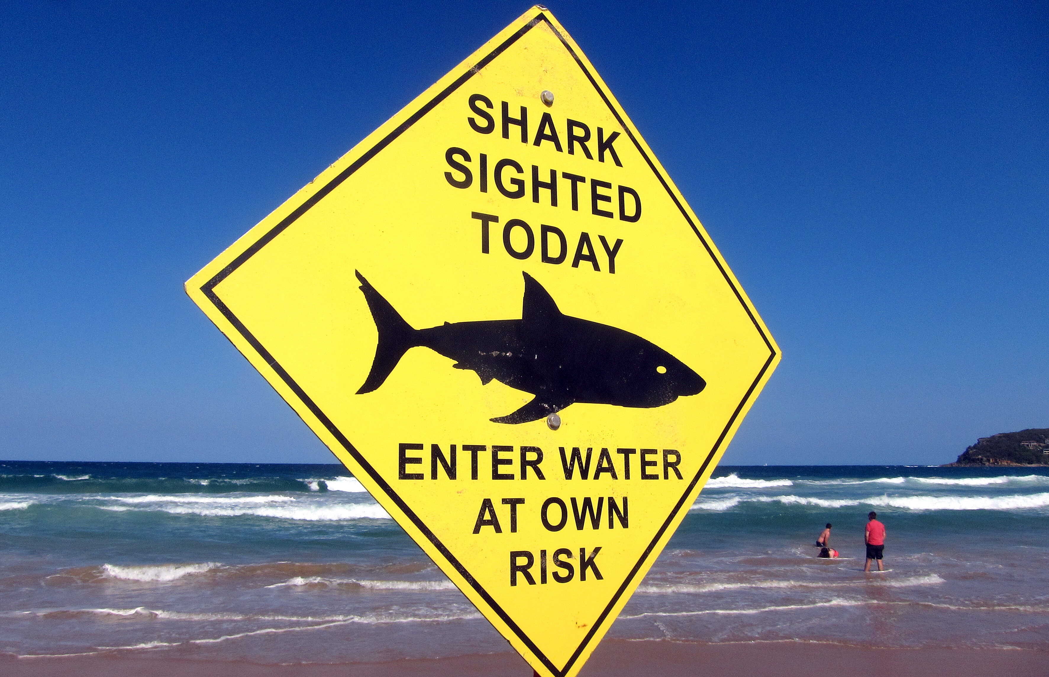 Surfer stradao u napadu ajkule u Australiji