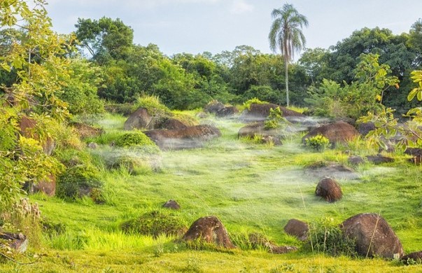 Amazonska prašuma nastala poslije udara asteroida koji je uništio dinosauruse