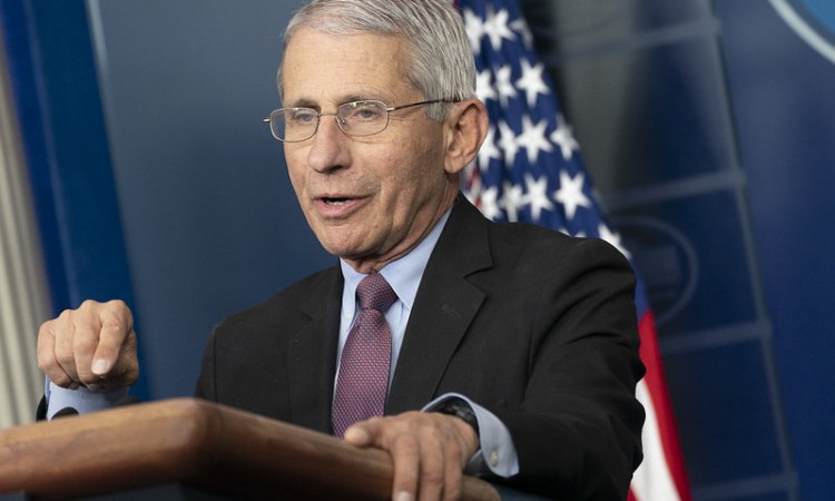 Fauci: Sa smanjenjem broja slučajeva zaraze sve opuštenije mjere u SAD-u