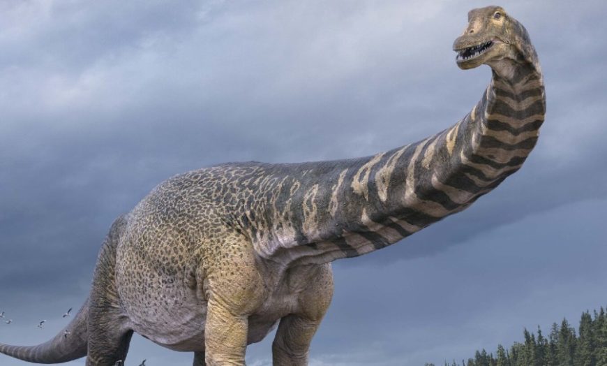 Dinosaurus pronađen u Australiji identifikovan kao primjerak nove vrste
