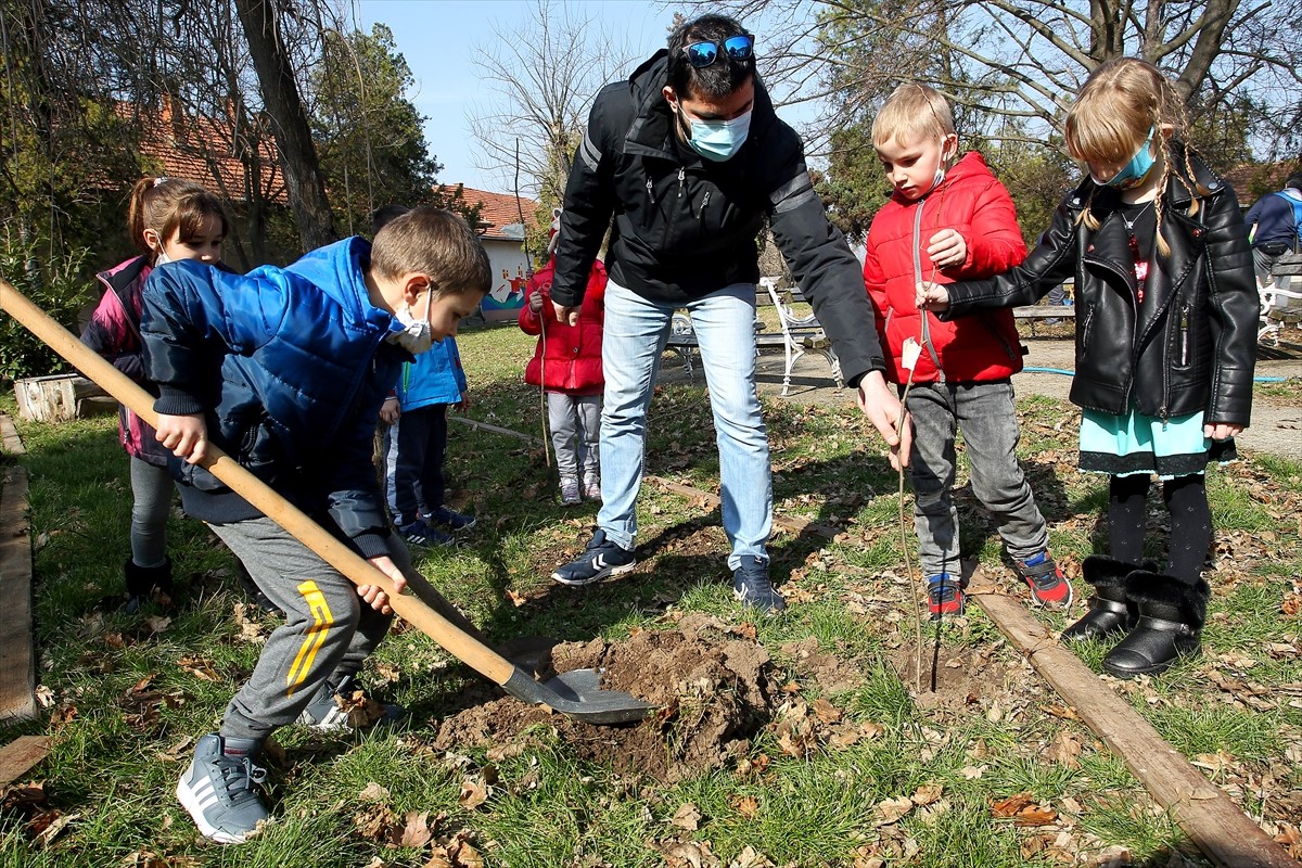 Bijeli bagremovi za Đorđa Balaševića u dvorištu seoske škole kod Niša