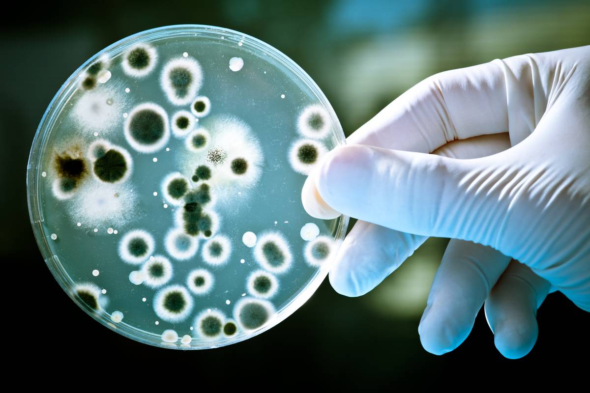 Povećanje doze antibiotika može "ojačati" neke bakterije