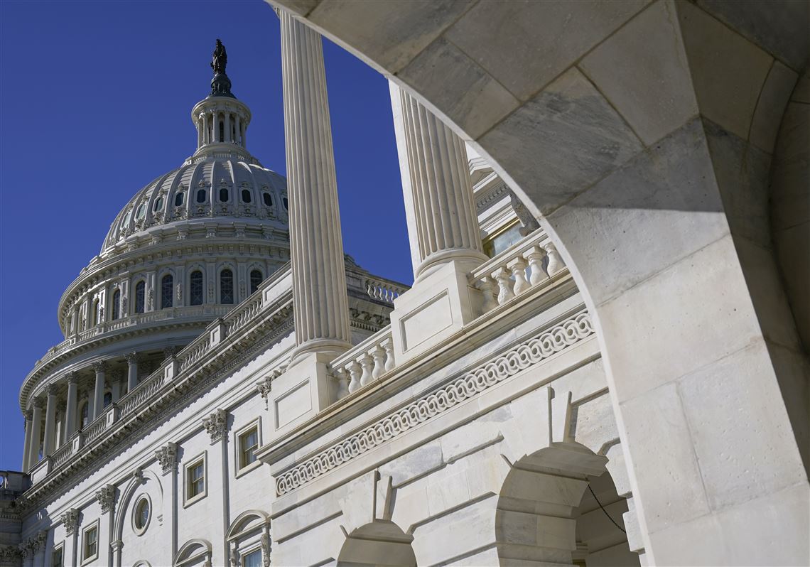 Zastupnički dom SAD-a glasao za reformu izbornog zakona