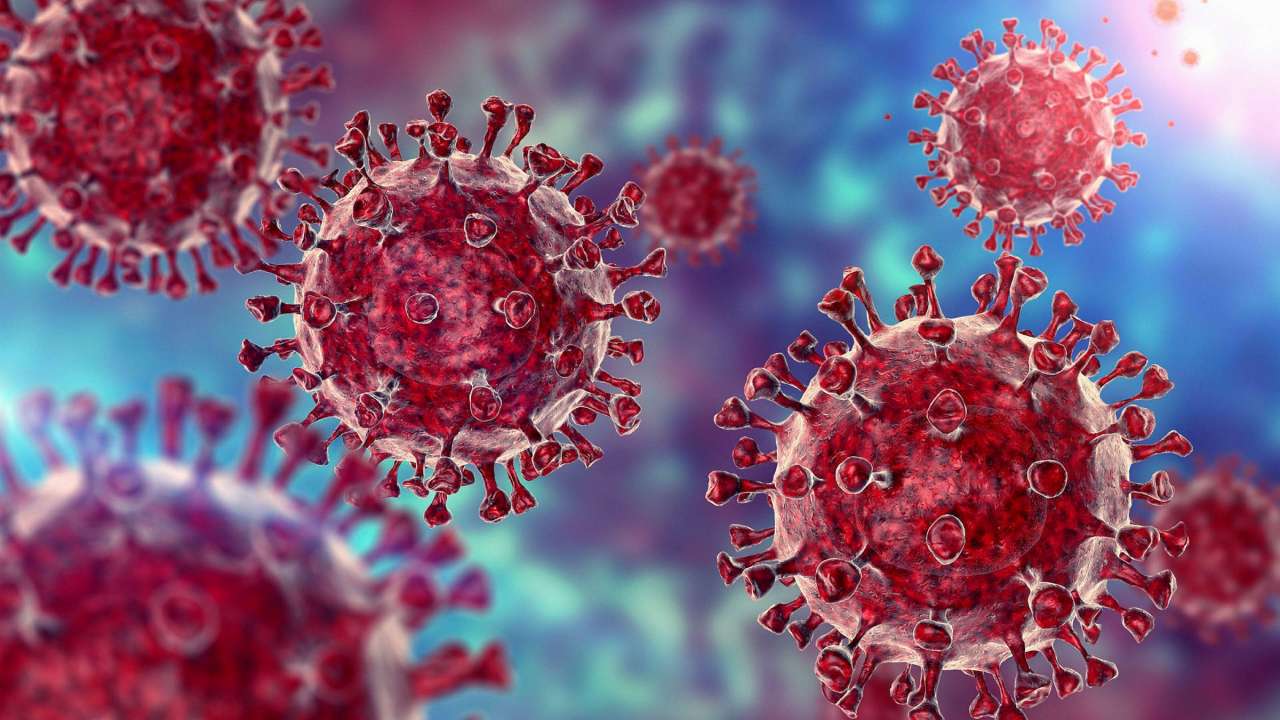 WHO: Indijska varijanta koronavirusa u uzorcima iz 17 zemalja