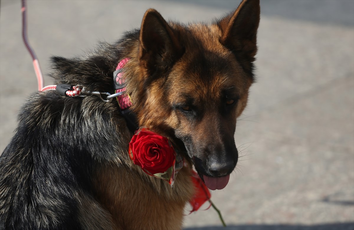 Skromno obilježavanje Međunarodnog dana žena u Zagrebu