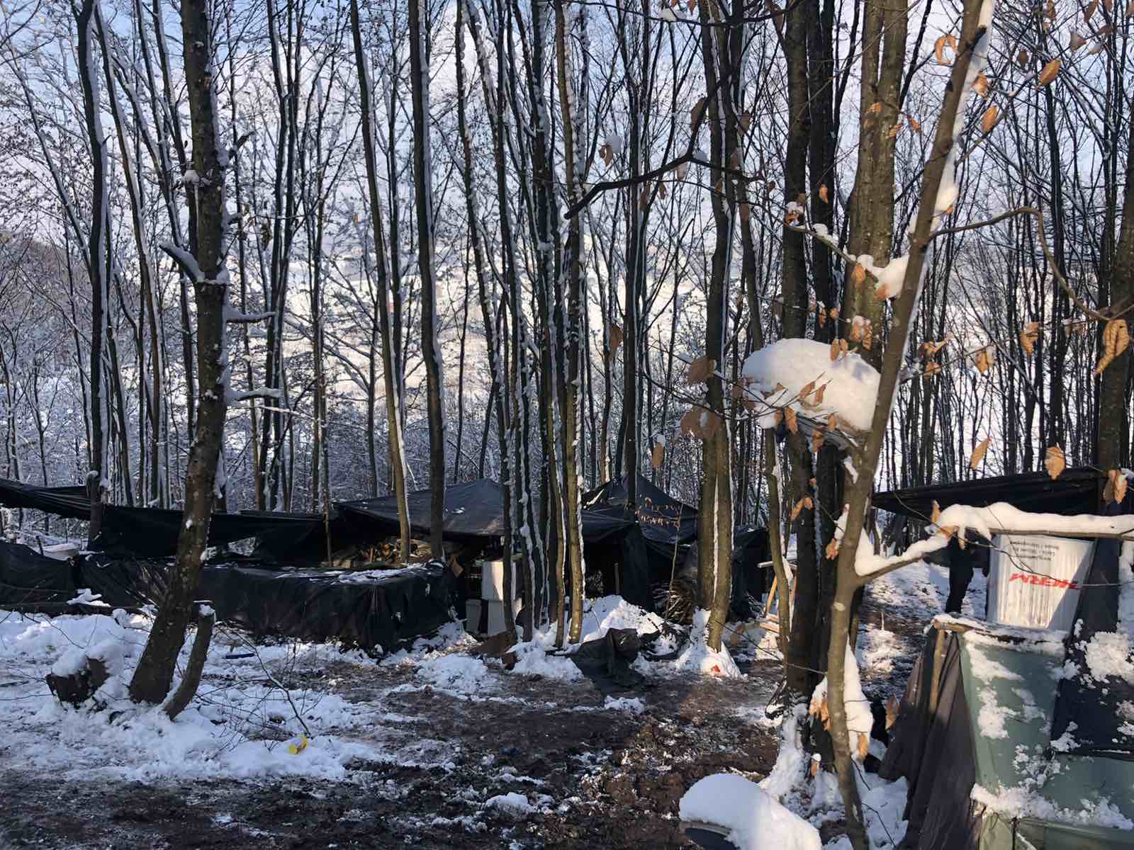 Oko 40 migranata promrzlo u šumi kod Velike Kladuše