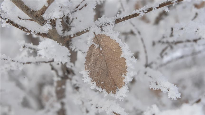 Zbog iznimno hladnog vremena u istočnoj Bosni na snazi narandžasti meteoalarm