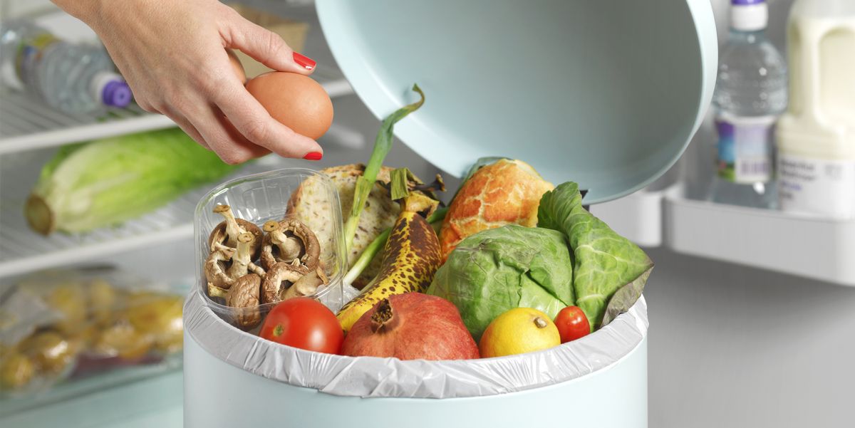 UN: U svijetu se godišnje baci milijardu tona hrane