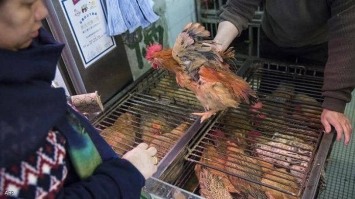 Kina javila o prvom ljudskom slučaju ptičje gripe H10N3