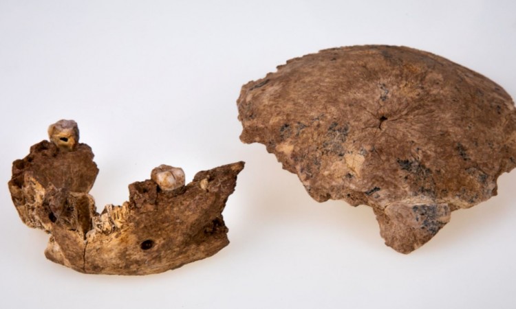 Neandertalci nemaju čisto evropsko porijeklo