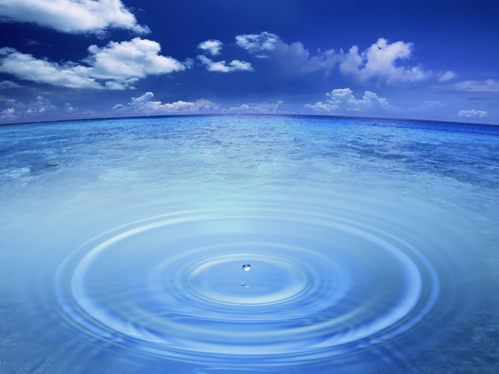 U samo jednoj kapi morske vode nalaze se milioni virusa