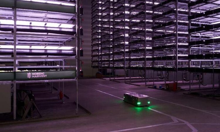 Vertikalni povrtnjaci u Danskoj dosežu nove visine