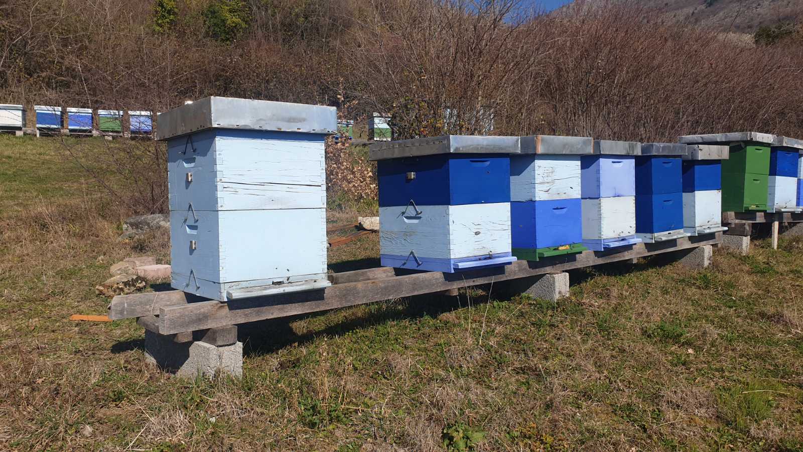 Loša godina za hercegovačke pčelare