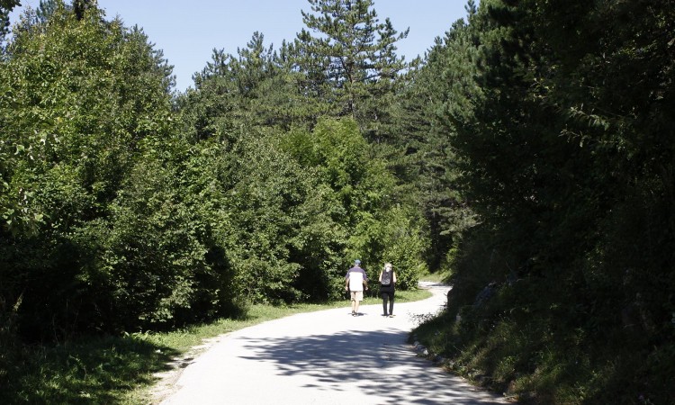 Bosna i Hercegovina država s najmanjim postotkom zaštićene prirode u Evropi